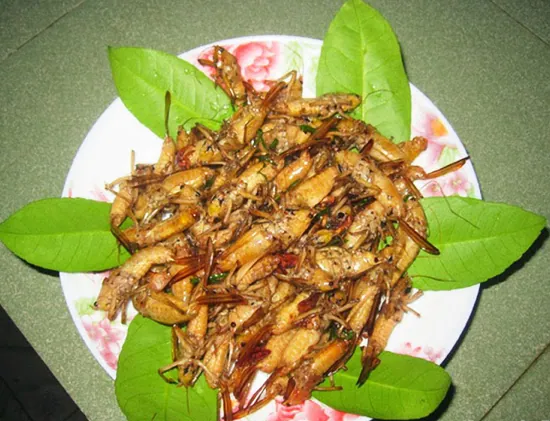Những món ngon đặc sản không thể bỏ lỡ ở Mù Căng Chải