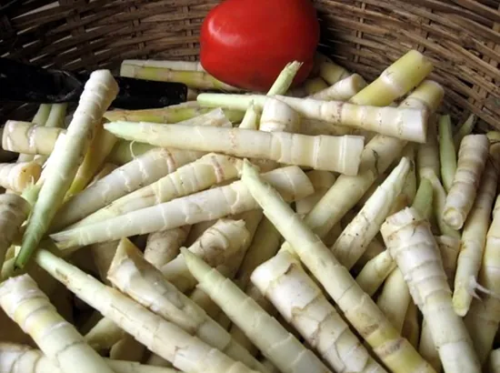 Những món ngon đặc sản không thể bỏ lỡ ở Mù Căng Chải