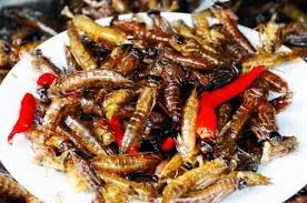 Đặc sản Campuchia: Côn trùng chiên giòn