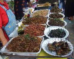 Đặc sản Campuchia: Côn trùng chiên giòn