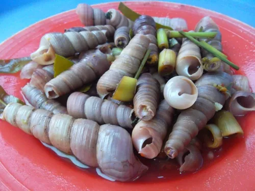 Những món ăn đặc sản không thể bỏ khi đến Sầm Sơn