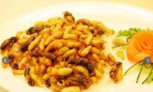 Đặc sản Trung Quốc: Món ăn bổ dưỡng nhưng nhiều người lánh xa