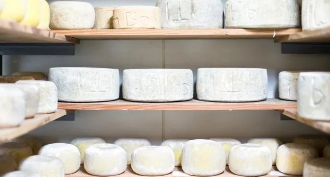 Có dịp đến Úc không thể bỏ qua những món ngon nổi tiếng này được