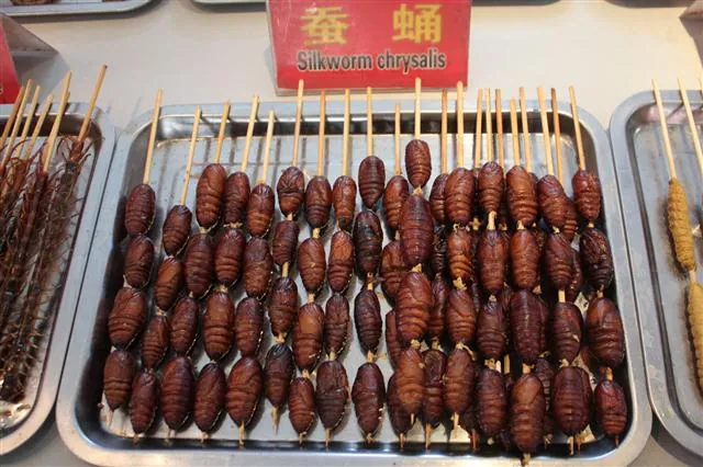 Đi một vòng chợ đêm Bắc Kinh xem có gì ăn được không?