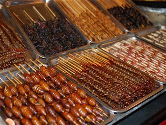 Đi một vòng chợ đêm Bắc Kinh xem có gì ăn được không?