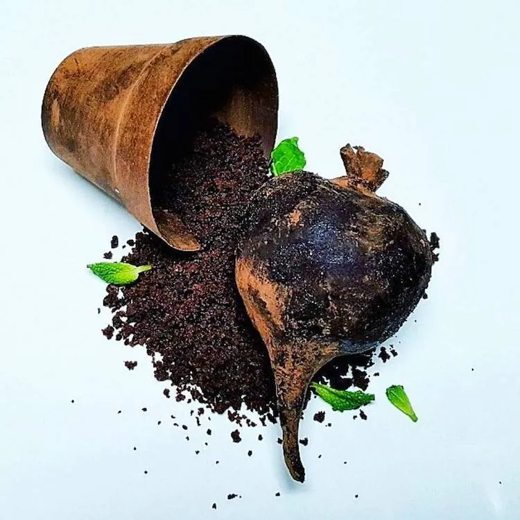 Những món ăn ấn tượng về cả hình thức và hương vị