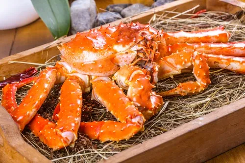 Khám phá những loài cua được yêu thích nhất trên khắp thế giới