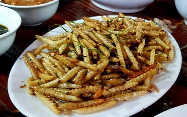 Công dụng của sâu chít Lào Cai 4 triệu đồng/kg