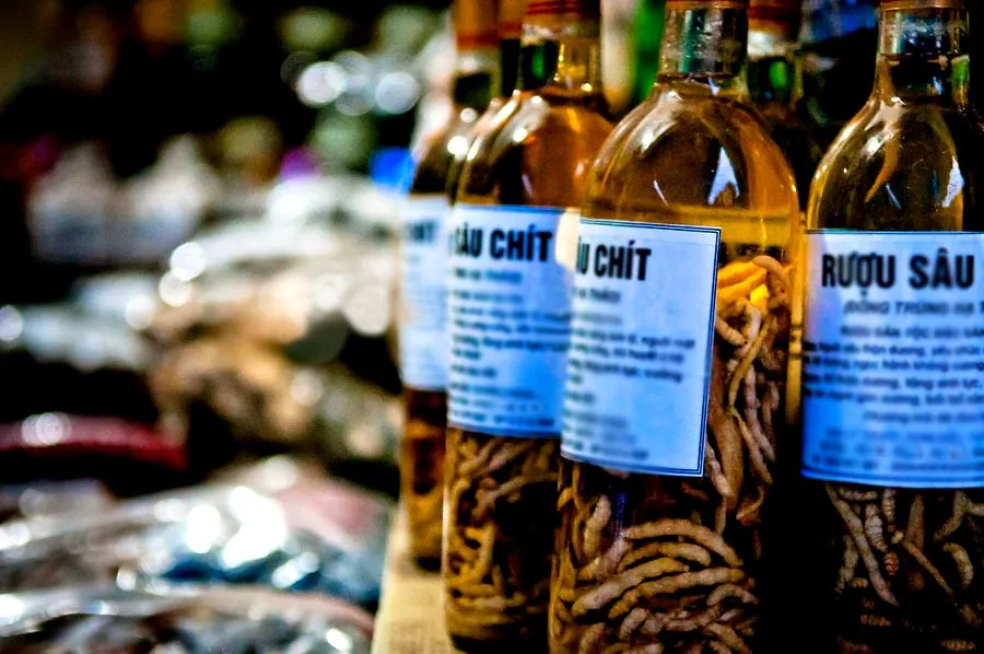Công dụng của sâu chít Lào Cai 4 triệu đồng/kg