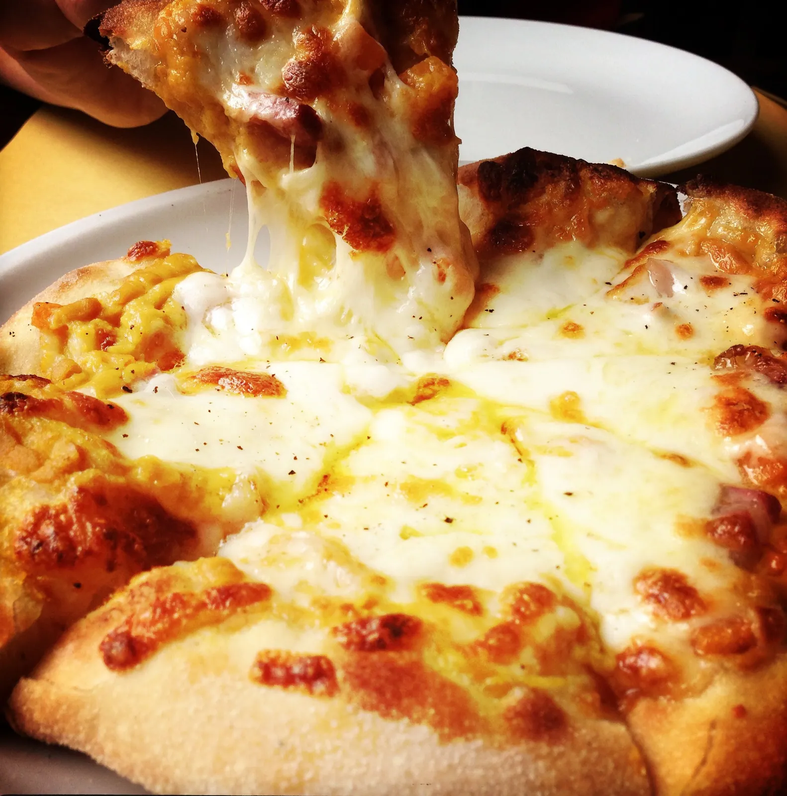 Ngoài Mozzarella, trên thế giới còn ưa chuộng những loại phô mai này