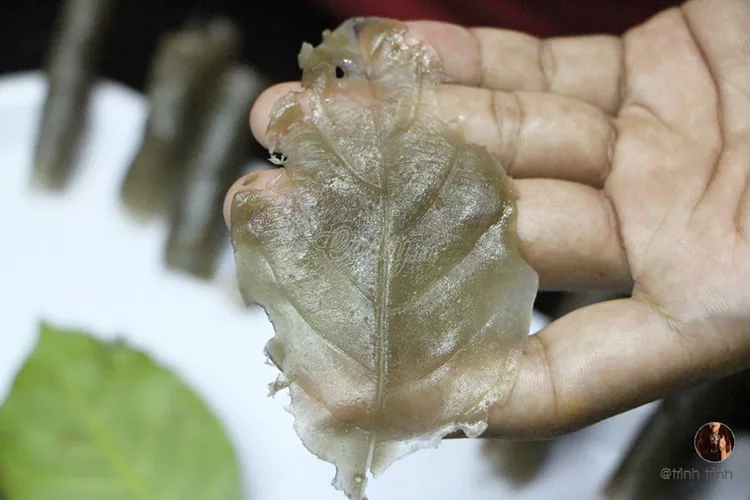 Về miền tây nhớ ăn bánh lá rau mơ để mở mang hiểu biết