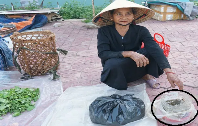 Dân tộc ít người ở Quãng Ngãi bắt và ăn nòng nọc