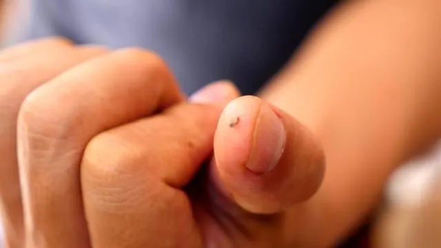 Phải là khách quý mới được thử món này của người Ma Rốc ở châu Phi
