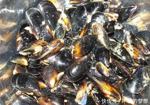 Ăn cả côn trùng có độc nhưng người châu Phi không ăn hải sản họ nghêu