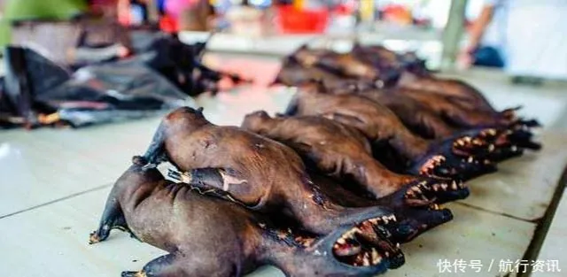 Không phải ở đâu cũng ăn được những món này như người châu Phi