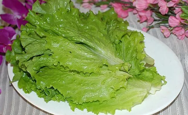 Những loại thực phẩm đắng hơn thuốc có mặt khắp nơi ở nước ta