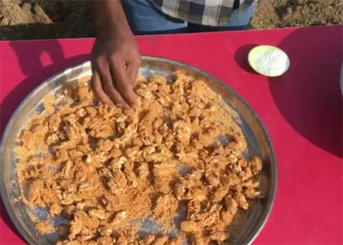 Loại cua nhìn như ấu trùng là đặc sản hiếm có của Ấn Độ