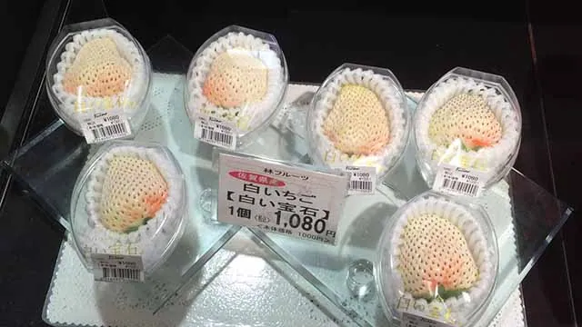 Bất ngờ khi biết giá bán những loại trái cây này ở Nhật