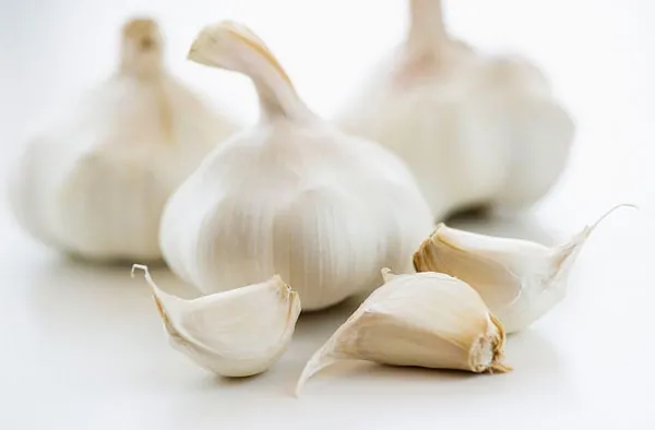 Cộng dụng của tỏi đen và cách “biến” tỏi trắng thành tiên dược