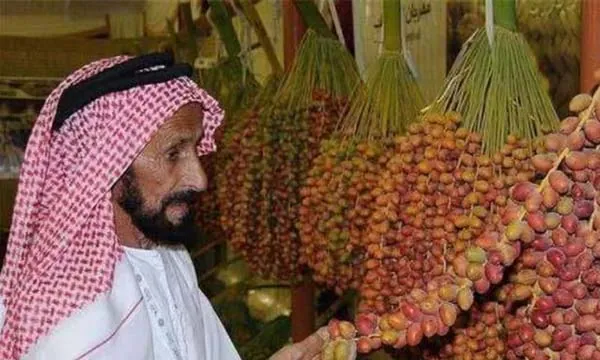 Quả chà là – Loại quả gắn liền với sự sống và lịch sử Dubai