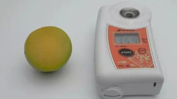 Có một giống mận chỉ trồng ở Trung Quốc mới đúng hương vị