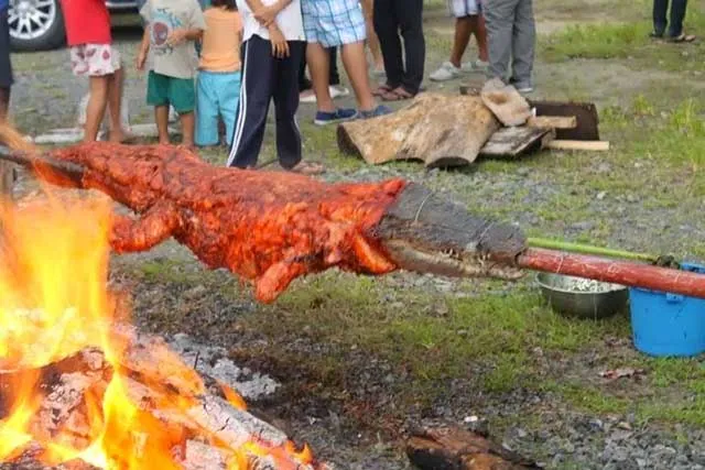 Người Philippines ăn thịt cá sấu như người Việt ăn thịt lợn
