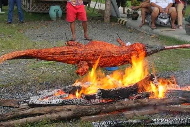Người Philippines ăn thịt cá sấu như người Việt ăn thịt lợn