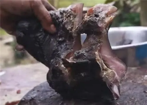 Chỉ ở Philipines mới ăn thịt xông khói có giòi được cho là “trường sinh bất tử”