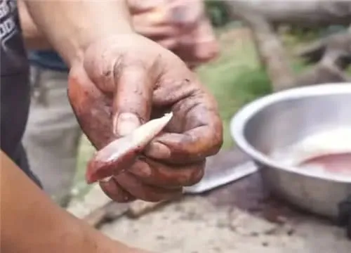 Chỉ ở Philipines mới ăn thịt xông khói có giòi được cho là “trường sinh bất tử”