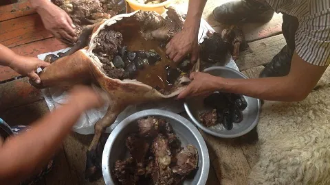 Người Mông Cổ có món đặc sản tương tự óc khỉ của Trung Quốc