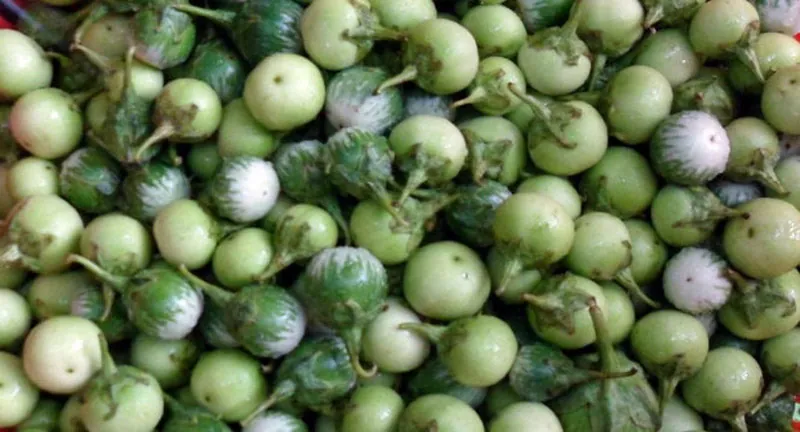 Với nguyên liệu từ núi rừng, người Ê-đê chế biến thành nhiều món ăn đặc sản