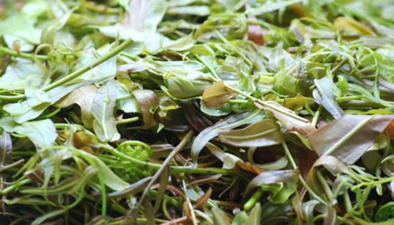Với nguyên liệu từ núi rừng, người Ê-đê chế biến thành nhiều món ăn đặc sản