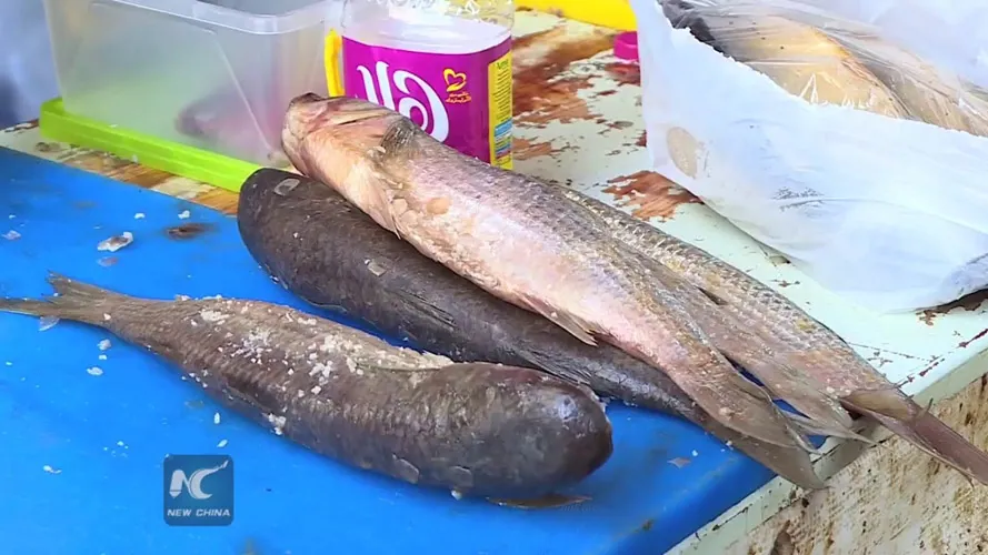Người Ai Cập có món ăn ngon nhưng chứa nhiều “hiểm họa”