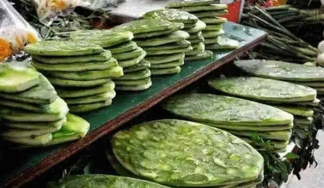 Người Mexico thích ăn xương rồng như người Việt ăn rau