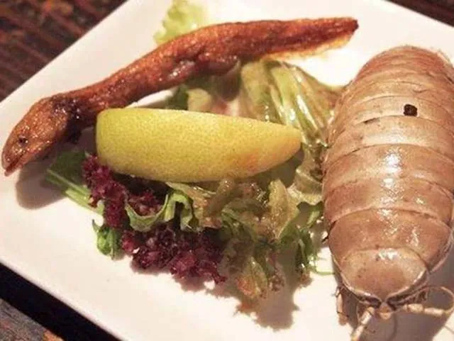Loại hải sản mang hình hài của côn trùng và rất khó đánh bắt