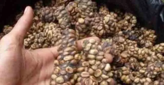 Đặc sản Lâm Đồng
