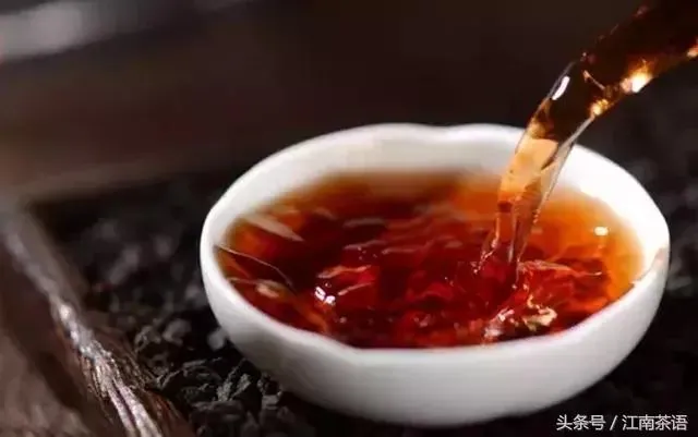 Loại trà hóa thạch hương vị thanh khiết từ “quê hương” của các loại trà ngon