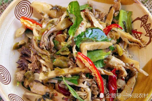 Nấm rồng – Loại nấm mang hình hài của san hô và công dụng của thần dược