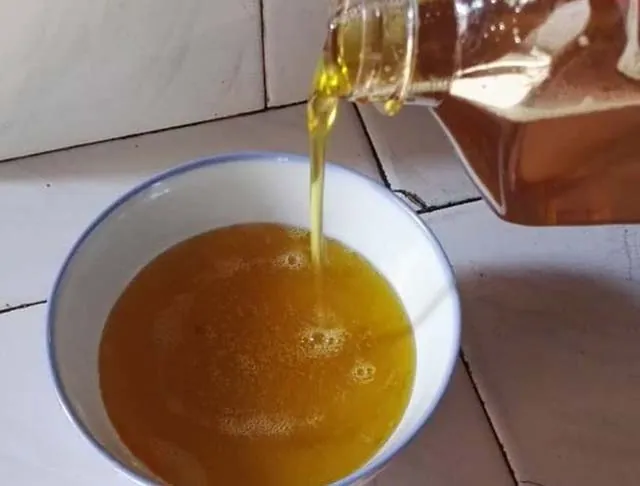 Quả cây chè đắng tốt như quả oliu mà người Việt không bao giờ sử dụng