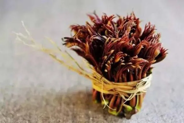 Cây xoan hôi: Loại rau dại chế biến món ăn ngon, bổ và … đắt