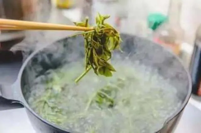Cây xoan hôi: Loại rau dại chế biến món ăn ngon, bổ và … đắt