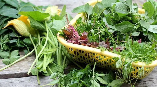 Những món ăn “kém sang” vẫn khiến bao người mê mẩn từ xưa đến nay