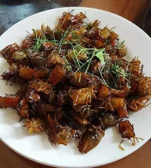 Đặc sản kì dị và khó quên của Hòa Bình