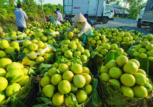 Du lịch miền Tây đừng quên nếm thử đặc sản dân dã của Vĩnh Long