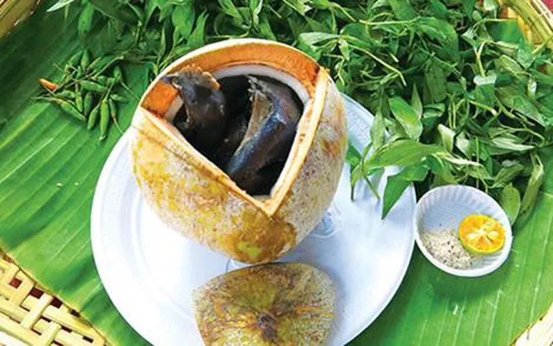 Quả dừa: Nguyên liệu chính của món ăn dân dã đến nhà hàng 5 sao