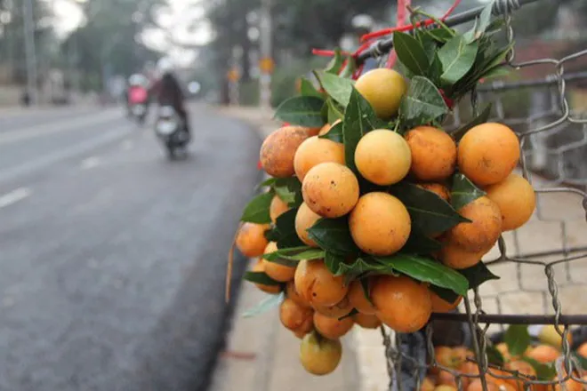 Chè bưởi, mứt cam và những món ăn từ vỏ mà người Việt chế ra
