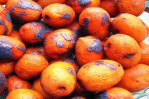 7 món ăn đặc sản của vùng đất Đền Hùng – Phú Thọ