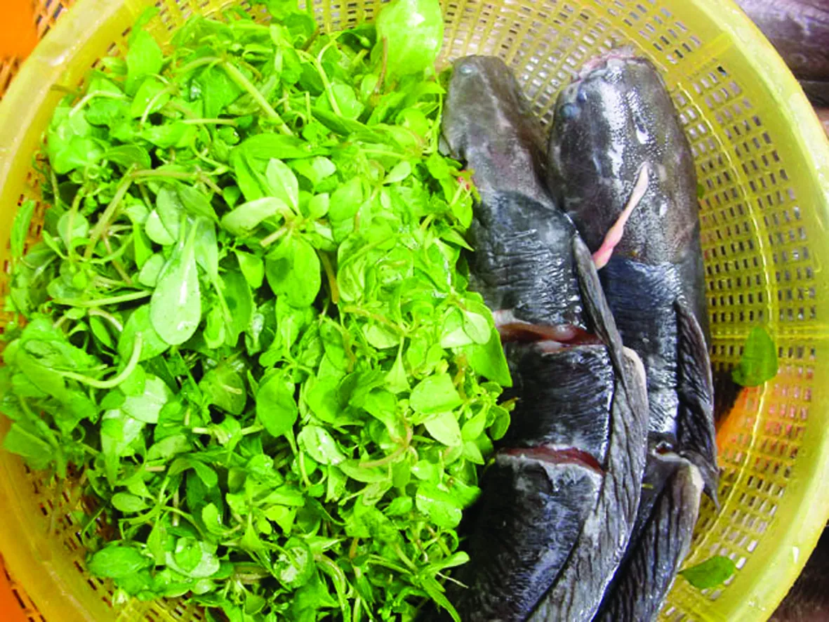 Rau đắng đất: Hương vị tồn tại mãi với thời gian