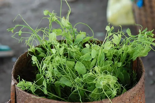 Đến với Cao Bằng thì không nên bỏ qua những món ngon khó cưỡng này