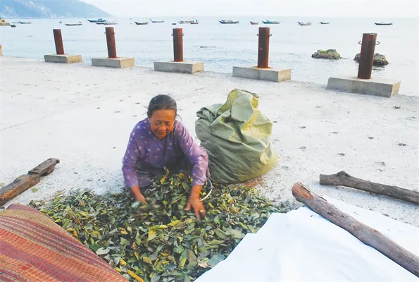 Đặc sản Cù Lao Chàm có gì đặc biệt